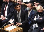 Tories’ glee at wallet-busting Big Spender would make even Shirley Bassey blush, writes HENRY DEEDES