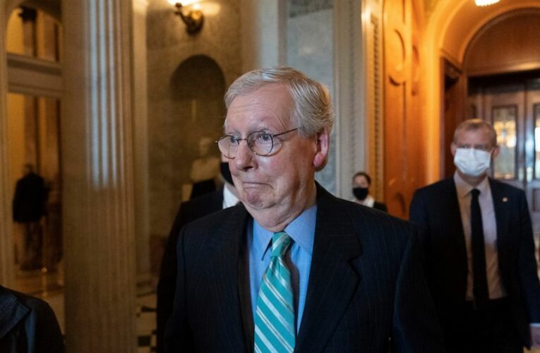 Senate avoids US debt disaster, votes to delay borrowing