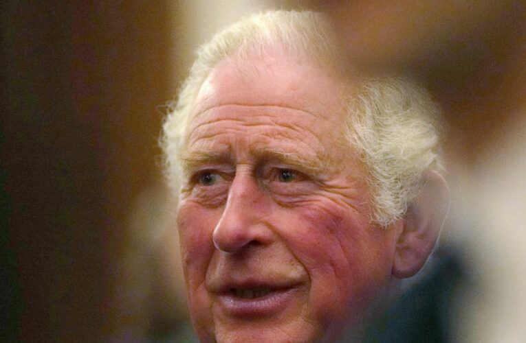 Prince Charles warns of narrow window to face climate change