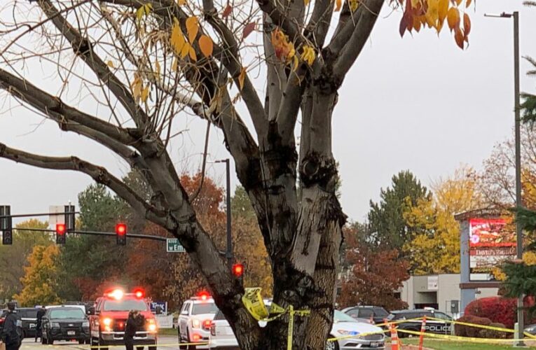 ‘We’ve got to run’ &mdash; Idaho mall shooting leaves 2 dead