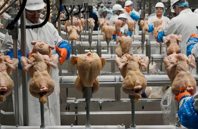 USDA rethinks approach to controlling salmonella in poultry