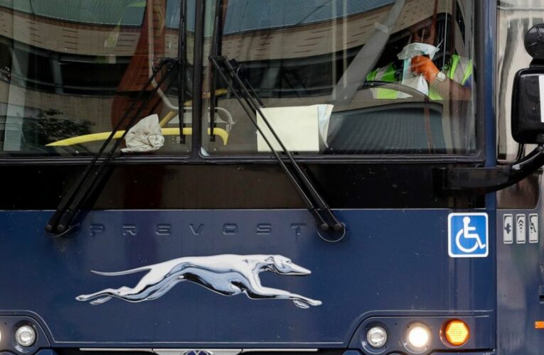 FlixMobility buys Greyhound bus service, expanding US reach