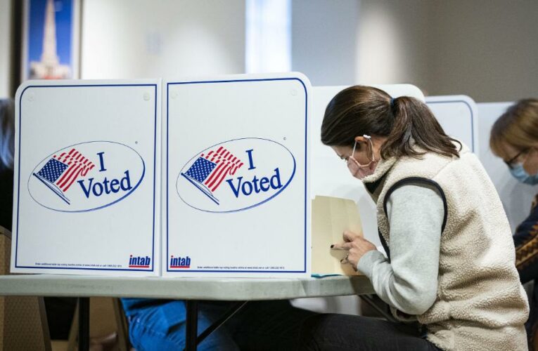 The gubernatorial race could foreshadow what will happen across the US during next year’s midterms