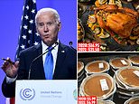Biden says he doesn’t think anybody would trade this Thanksgiving for the last