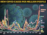 700,000 Europeans will die from Covid by March, World Health Organization warns
