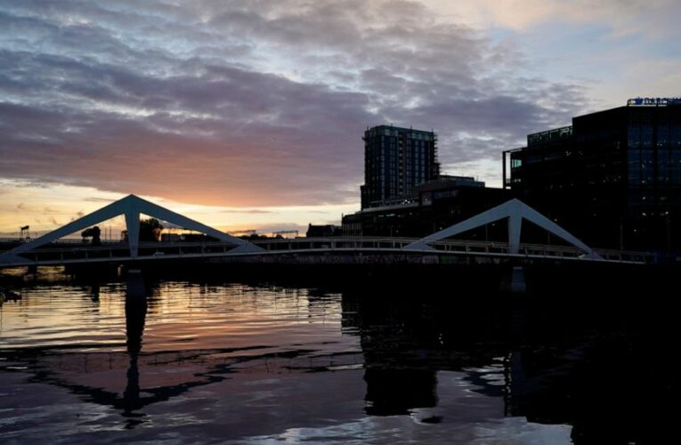 Over 100 countries vow to end deforestation at climate talks