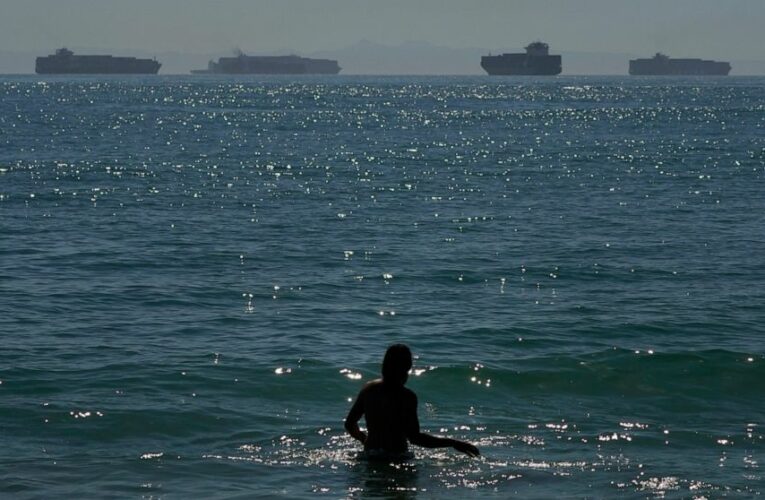 Supply chain delays disrupt California agriculture exports