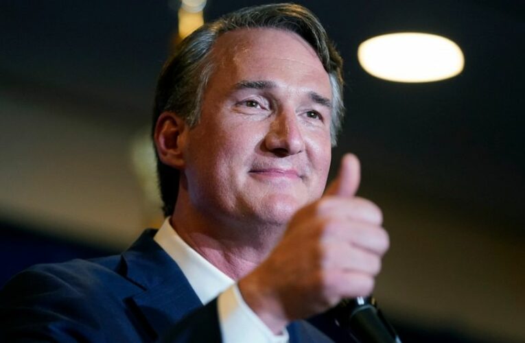 Divided Democrats call for new strategy after disaster in VA