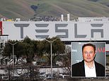 Tesla is hit by six fresh sexual harassment lawsuits from female employees