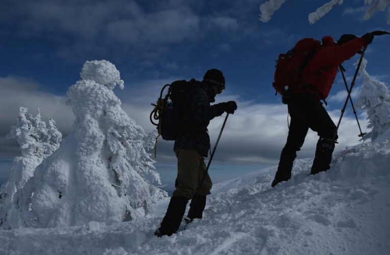 You’re trapped in a blizzard. Do you know what to do next to survive?