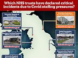 Six NHS trusts in England declare critical incidents amid Covid staffing crisis