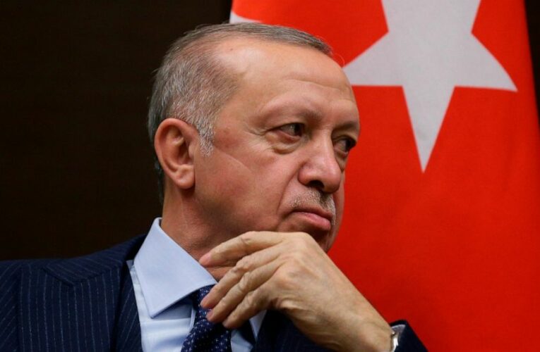 Turkish leader names new statistics chief as inflation rises