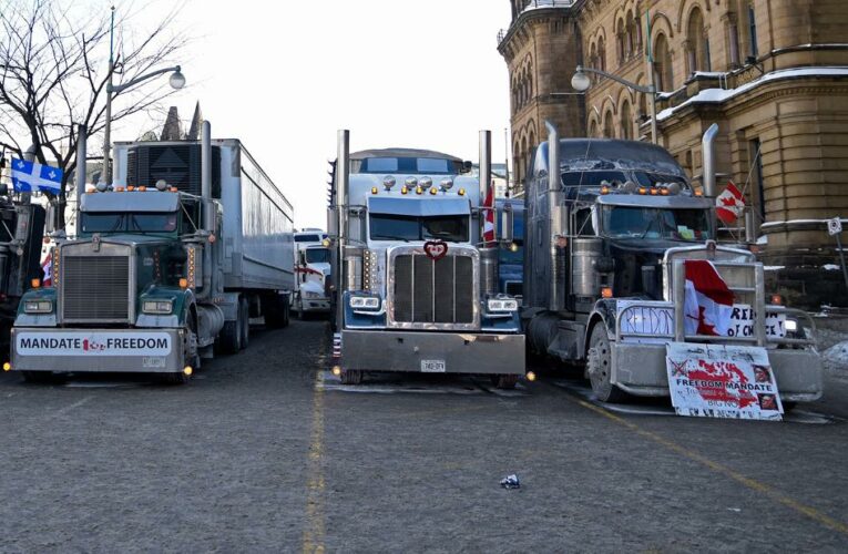 ‘Beyond just vaccines’: Hear from Ottawa protestors