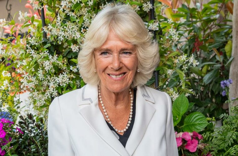 Camilla will be Queen: Elizabeth II uses Platinum Jubilee message to elevate Charles’ second wife
