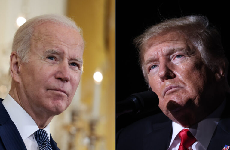 A significant number of both Democrats and Republicans hope their parties find alternatives to the President and former President