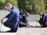 Prince William plants a tree as he begins his whirlwind one-day visit to the UAE