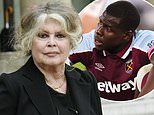 Brigitte Bardot slams Kurt Zouma over cat-kicking videos