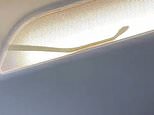 Shocked AirAsia passenger films serpent in overhead compartment prompting emergency landing