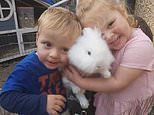 Brother and sister, three and four, were killed when a van smashed into their car, inquest hears 
