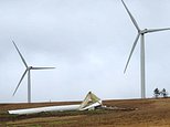 Villagers wake to horrific crash as 300FT wind turbine is blown over during storm in South Wales