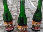 Ukrainian brewery switches to Molotov cocktails in bottles of its ‘Putin is a d***head’ beer 