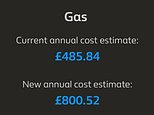 ‘I didn’t want to be warm anyway’: Families get British Gas emails warning bills could soar by 54%