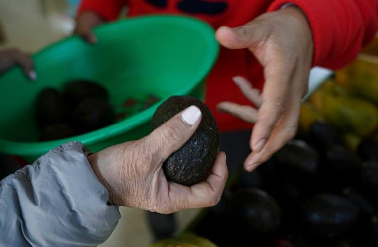 Mexico says conspiracy behind avocado ban; US cites violence