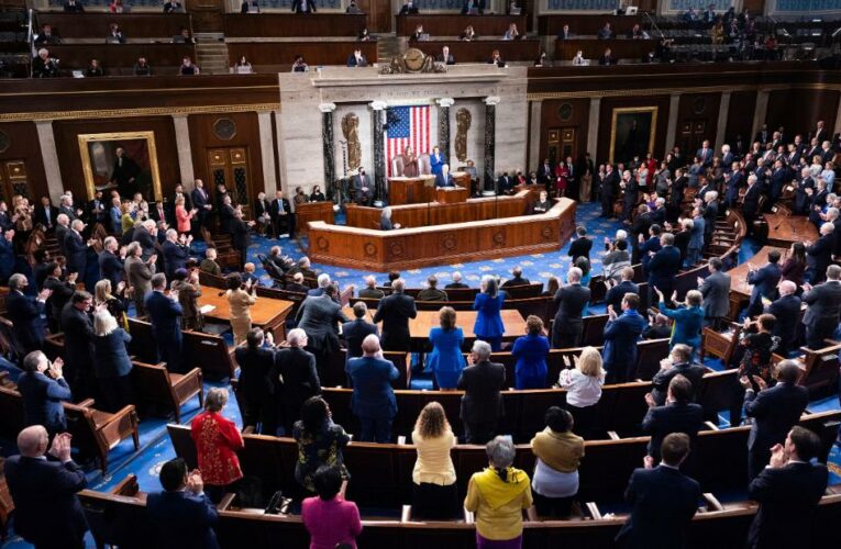 Congress shows bipartisan sartorial support for Ukraine at State of the Union address