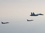 Russian fighter jets that violated Swedish airspace earlier this month ‘were equipped with NUKES’ 