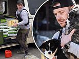 This is the British army veteran saving abandoned pets from bomb-stricken shelters in Ukraine