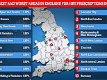 Parts of the country are dishing out THREE TIMES as much HRT as others