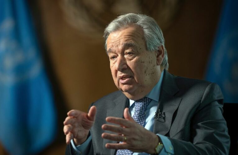 UN chief names panel to probe companies’ climate efforts