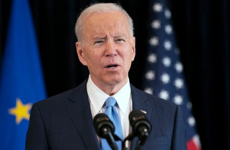 US, EU announce new partnership to undercut Russian energy