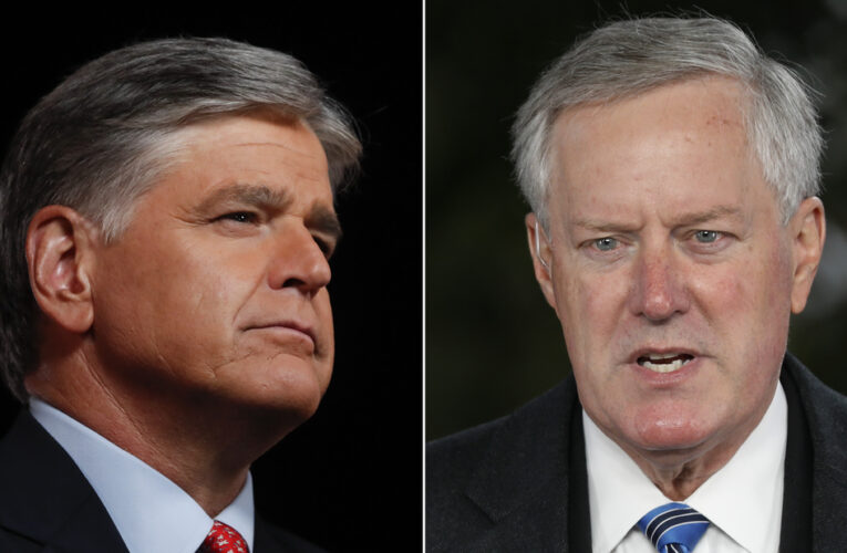 READ: 82 texts between Sean Hannity and Mark Meadows