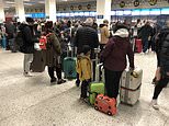 Travel chaos: Hours-long queues at Manchester Airport, delays at Heathrow and gridlock outside Dover