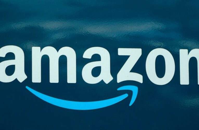 Judge rules Amazon must reinstate fired warehouse worker