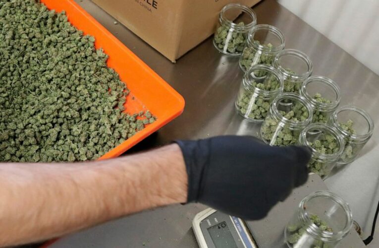 New Jersey’s recreational marijuana market open for business