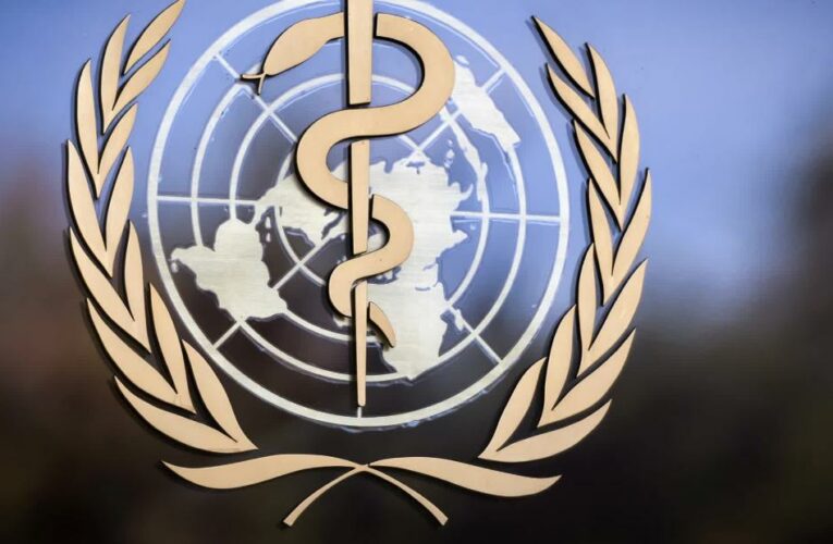 What we can learn from the WHO Covid mortality numbers