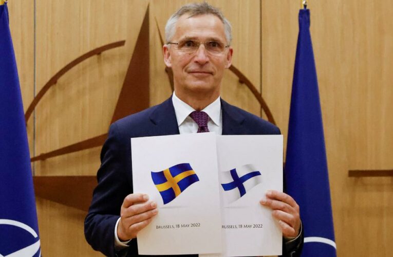 Alliance: Finland and Sweden have handed in applications to join NATO