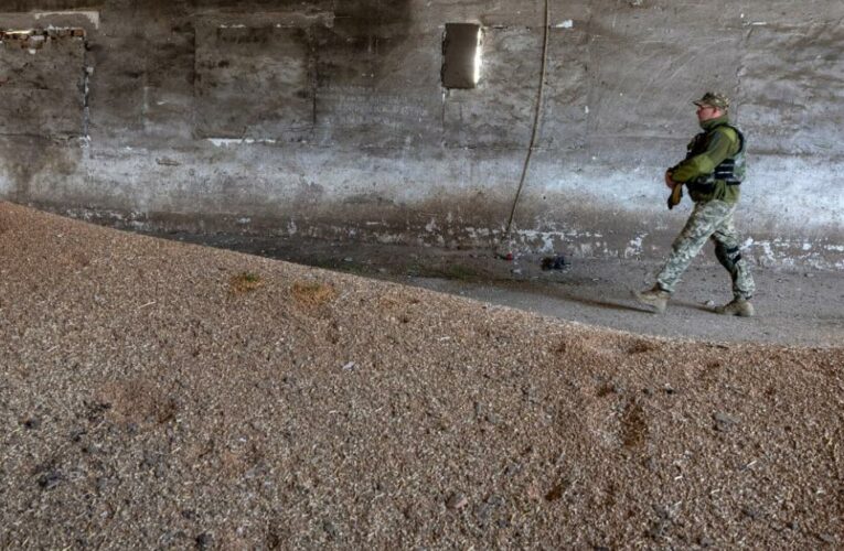 The ‘poorest of the poor’ are on the brink of starvation, the head of the World Food Programme says. Ukraine cannot ship grain out of ports due to Russia’s blockade.
