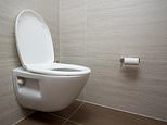 Defra mulls converting lavatory waste into tap water spending £53,000 to probe public attitudes