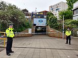 Greenwich stabbing: DLR station cordoned off after man in his 30s dies in south east London