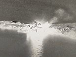 Drone destroys Russian landing ship supplying anti-aircraft missiles to troops on Snake Island