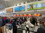 Bristol airport likened to a ZOO amid travel chaos as easyJet and TUI axe hundreds of flights