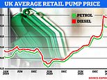 Average price of petrol hits new record high of 173.02p per litre after EU ban on Russian oil