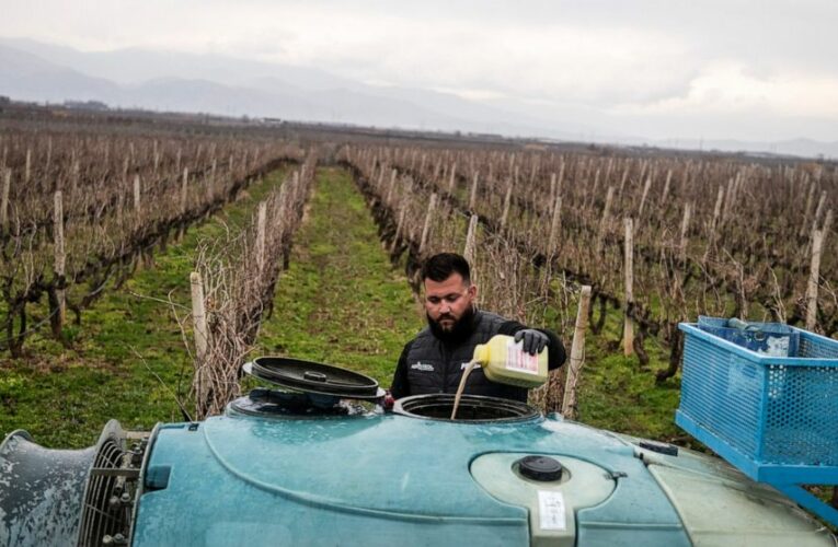 Report: Dramatic rise in pesticides in EU fruits, vegetables