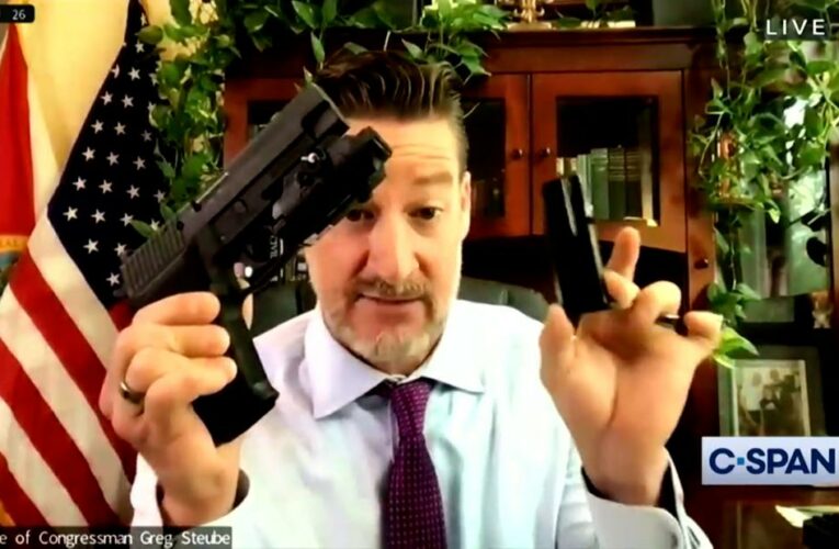 Lawmaker pulls out weapons on webcam: ‘I can do whatever I want with my guns’