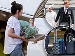 Harry and Meghan touch down in California with  wooden swing set similar to one gifted to Cambridges