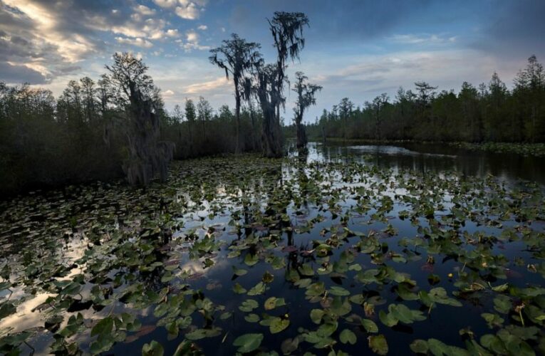 Agency ruling delivers big setback to Okefenokee mining plan