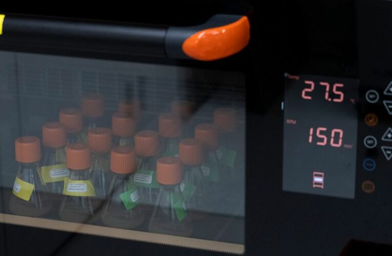 Novavax hopes its COVID shot wins over FDA, vaccine holdouts